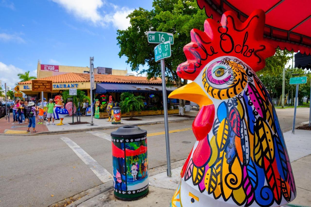 Cozy Room In The Heart Of Little Havana Miami Dış mekan fotoğraf